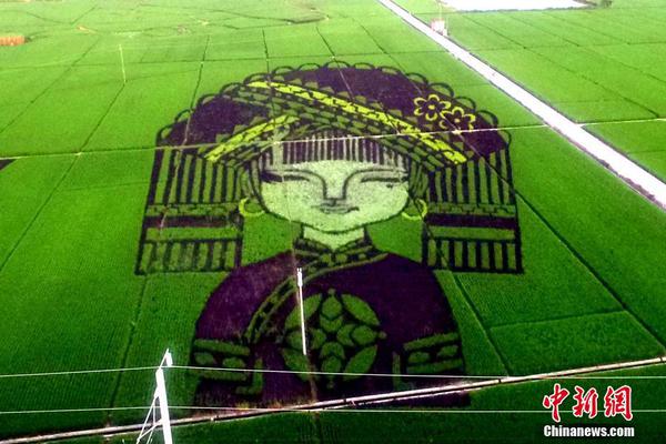 滲透測試靶機_加盟尼克斯前兆？字母哥購1410萬美元紐約大樓 提前投資布局