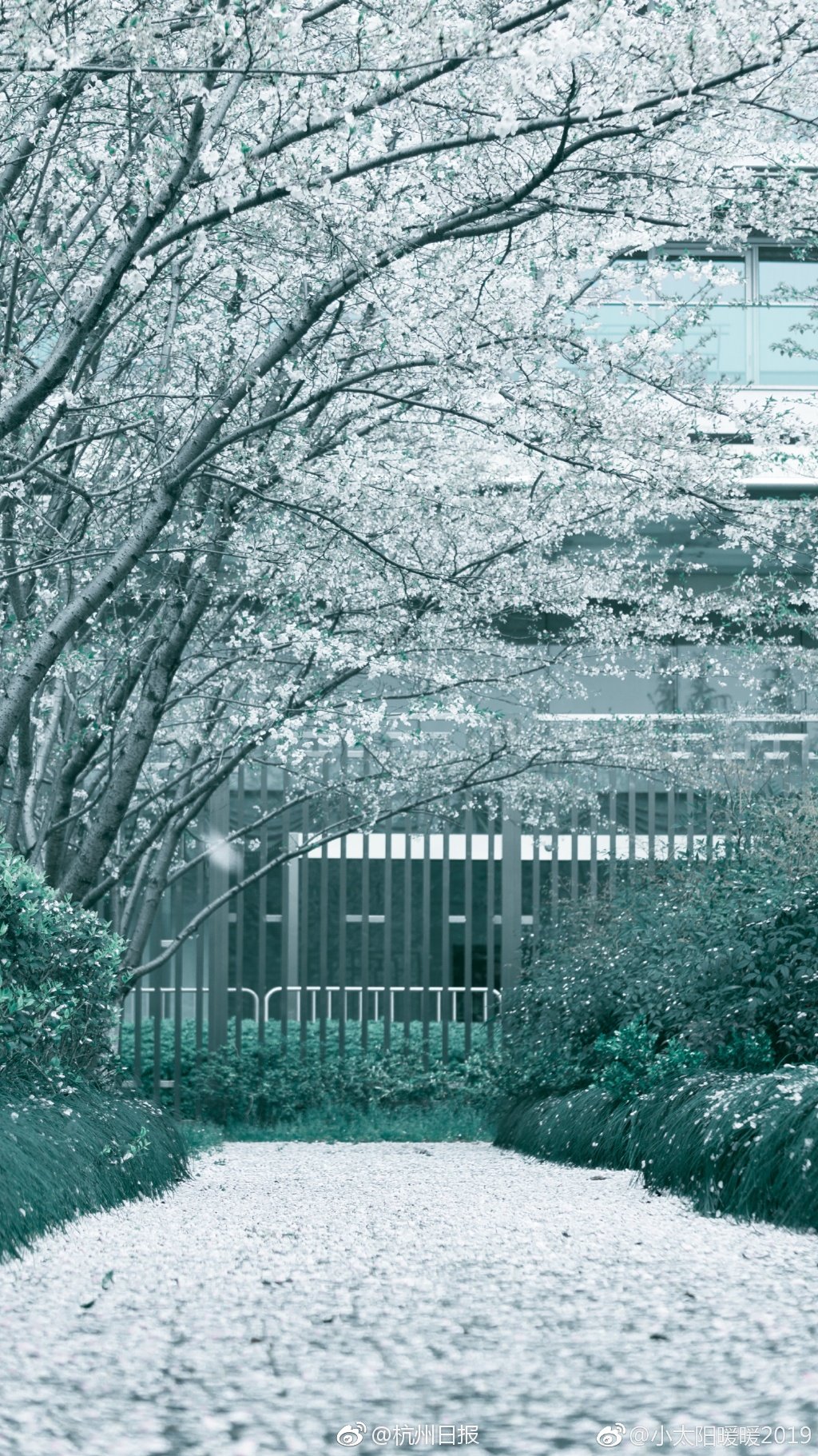 客服遇到的網(wǎng)絡(luò)安全問題案例_拒絕加班！用老板的網(wǎng)速偷偷打BOSS