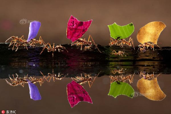 漠河迎零下40度極寒，環(huán)衛(wèi)工睫毛結(jié)霜，泡面變“干脆面”