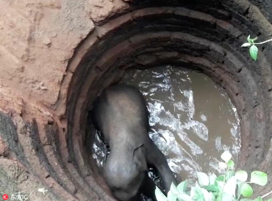 常用的sql語句大全del_蔡瀾書法作品展現(xiàn)獨特風格，作品引發(fā)熱議