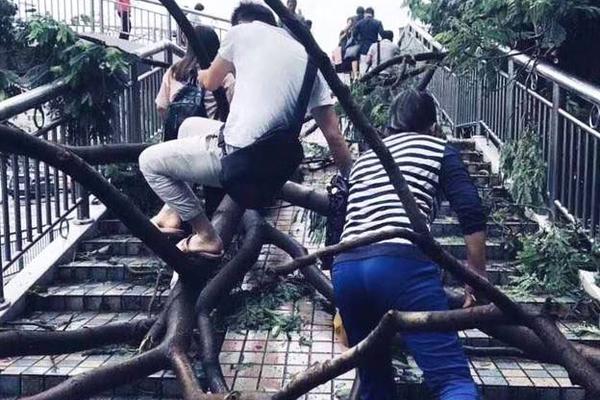 多所高校定制羽絨服賣(mài)爆