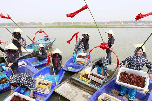 python抓包代碼_2019北京世園會開幕式文藝演出