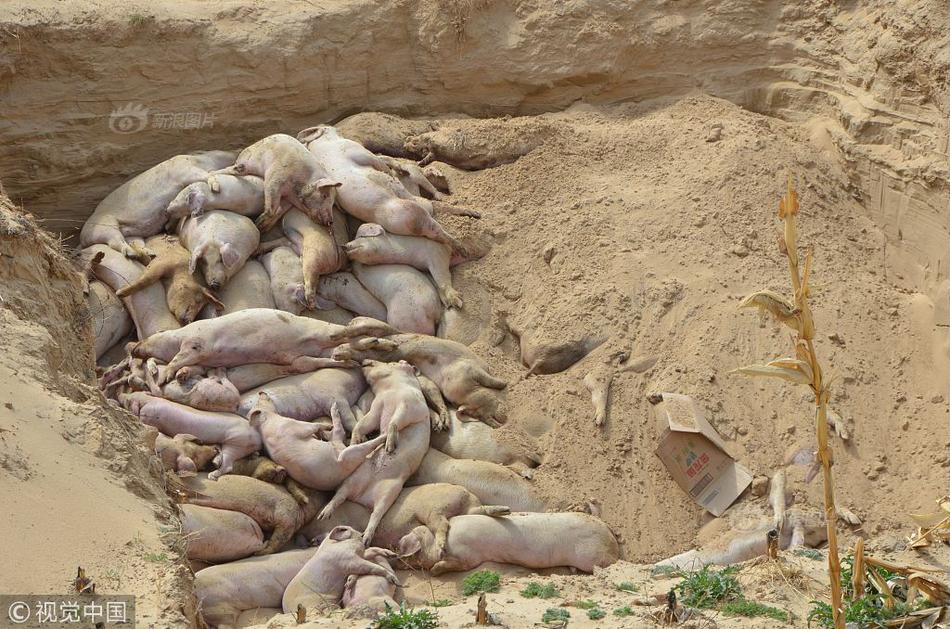 國安機(jī)關(guān)曝光境外間諜最新竊密手段_【GET2025】小葉子&刺猬英語創(chuàng)始人葉濱:AI與游戲化的融合突破