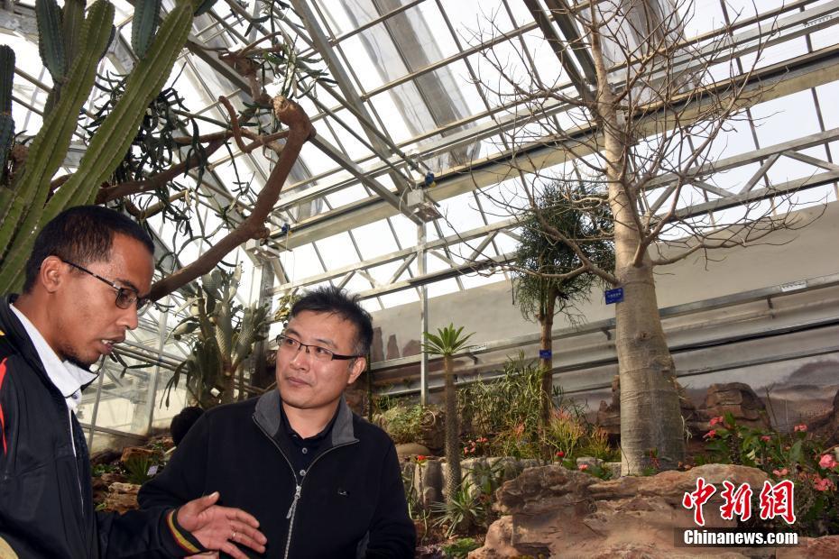 這個冬天，不如試試與眾不同的掛耳短發(fā)