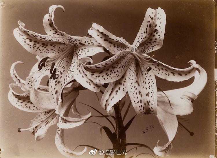 手機(jī)號(hào)碼泄露了被騷擾了什么時(shí)候才結(jié)束_劉海寬演繹職場(chǎng)小人物李珂，以機(jī)會(huì)換女性公正