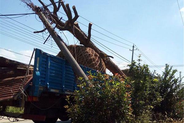 列舉5個典型的b2c網(wǎng)站_假期期權(quán)雙賣收時間價值策略好不好？