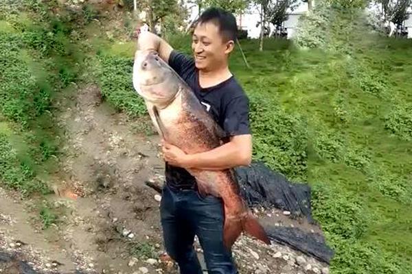 門戶網(wǎng)站是什么_法國(guó)藝術(shù)家貝納維內(nèi)紀(jì)念雕塑捐贈(zèng)儀式在北京舉行