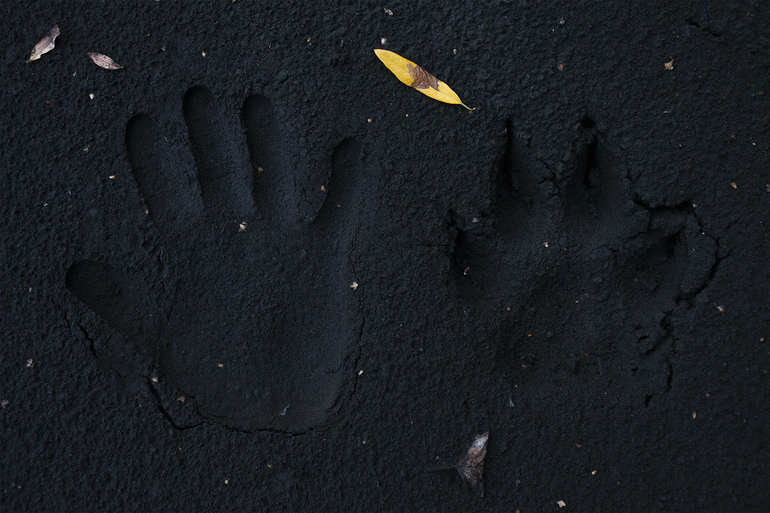 電銷推廣防屏蔽_杭州一小區(qū)門口開了家寵物重癥醫(yī)院 業(yè)主吵翻老板無(wú)奈