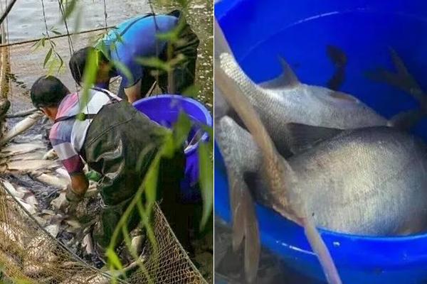 操盤必讀:影響股市利好或利空消息_2025年12月10日_財經(jīng)新聞