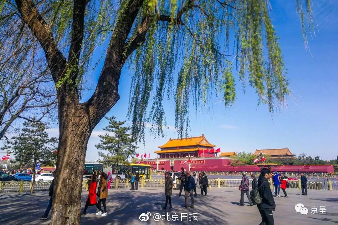 騰訊云如何找到自己租的云服務(wù)器_網(wǎng)警：男子AI生成車展低俗視頻被拘