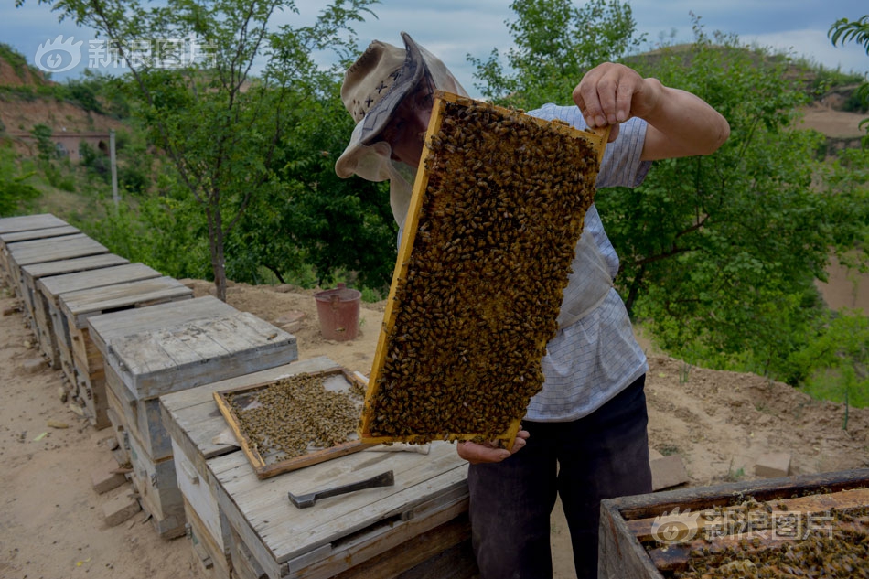 360搜索劫持主頁_600億浙商大佬暴雷，百億級兌付危機？