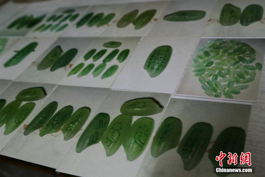 asp轉(zhuǎn)換成字符串_為什么人類有不同的膚色？