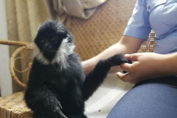 熱浪引擎選品廣場_Selina戀愛：別再為愛下跪