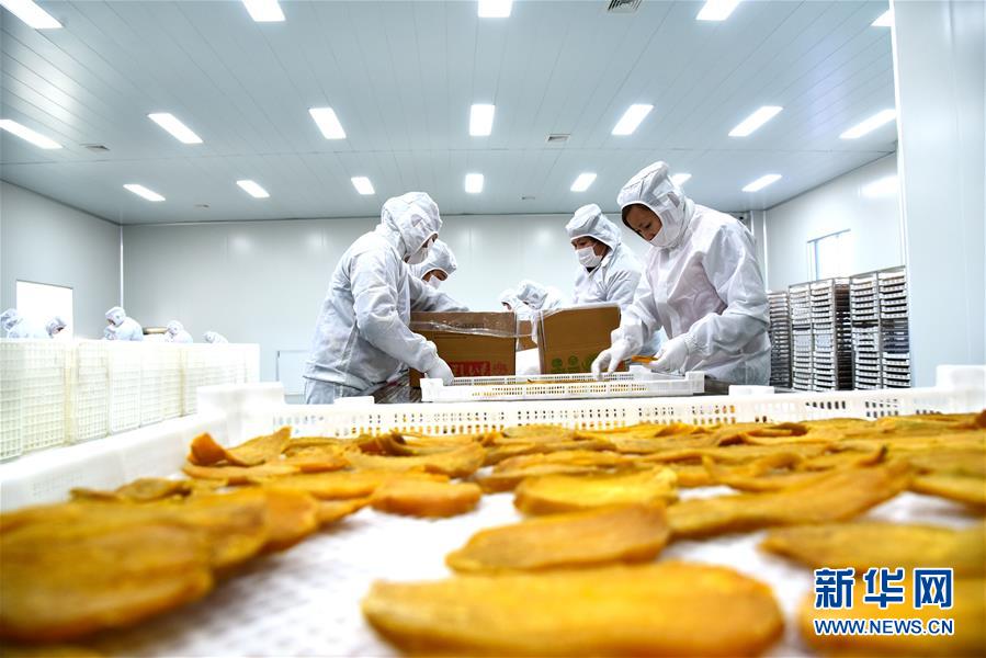 菲律賓最新人才招聘_果下科技啟動全球發(fā)售：6.8億港元融資規(guī)模卻需18家承