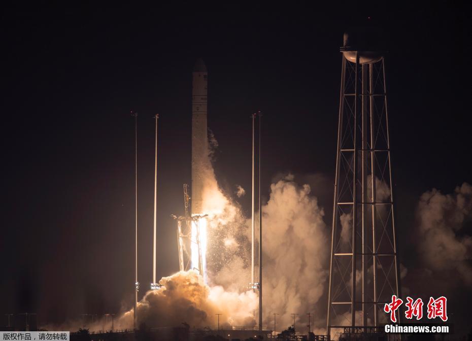 蓮齋 | 素食烹飪分享 · 菠蘿糯米飯