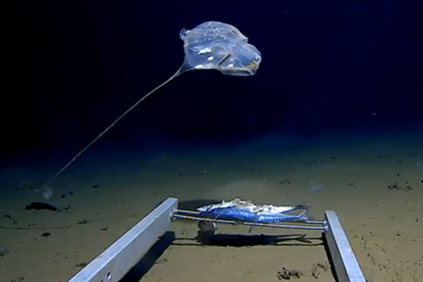 怎么破解腳本卡密_APP瘋狂采集個(gè)人信息 有的存儲(chǔ)時(shí)間長(zhǎng)達(dá)10年