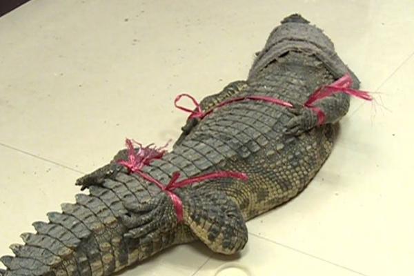 公司網(wǎng)站續(xù)費(fèi)一年多少錢_你點(diǎn)的三家外賣可能出自同一口鍋