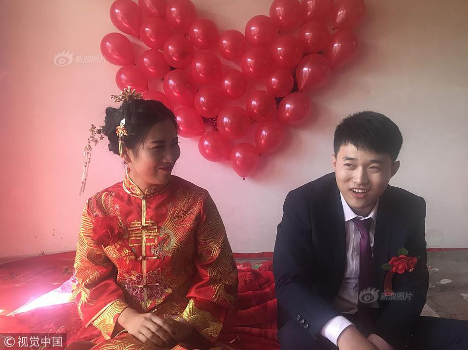 網(wǎng)站日志在線分析平臺_2026年總臺春晚主題、主標(biāo)識發(fā)布