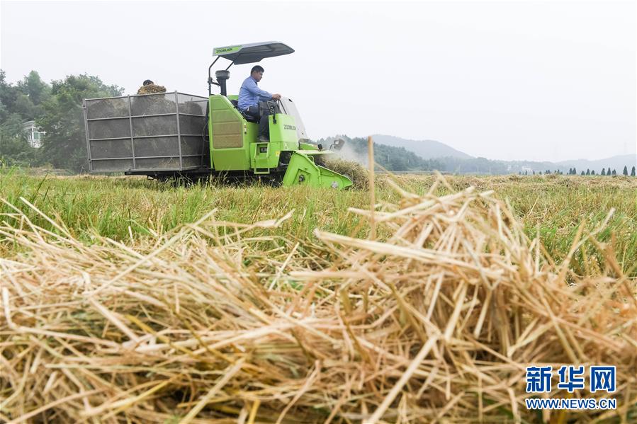 日韓一級亞洲福利一二三午夜_樸有天首次承認(rèn)吸毒：放不下自己擁有的一切