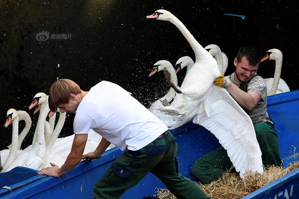 ubuntussh遠(yuǎn)程連接被拒絕_用漫畫方式了解海南自貿(mào)港封關(guān)