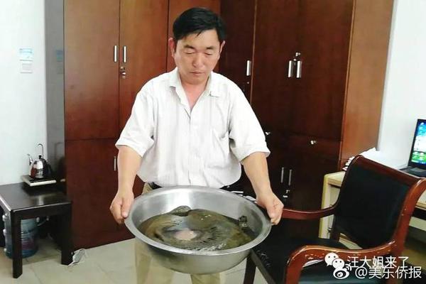 url查詢ip_特朗普替馬斯克“出頭”