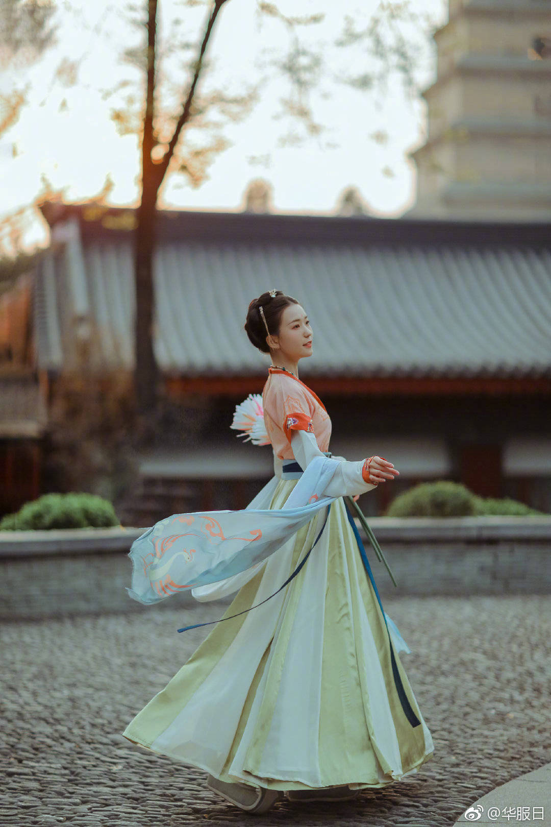 url查詢ip_特朗普替馬斯克“出頭”