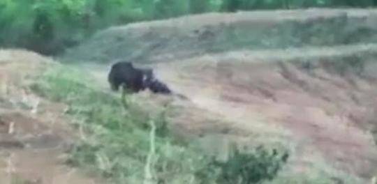 中國黑客吧_鴻蒙智行殺入第八，一汽豐田以微弱優(yōu)勢守門 新王當(dāng)立？！