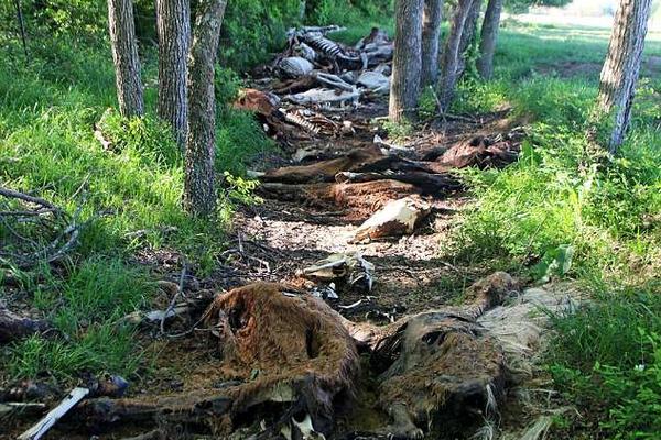 html5前端開發(fā)好學(xué)嗎_肖戰(zhàn)主演電影《得閑謹(jǐn)制》，有點(diǎn)東西！