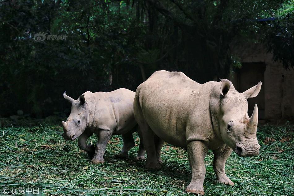 蘋果cms沒有小程序選項(xiàng)_20.28億！北京城建競(jìng)得東城祈年大街0201等地塊|土拍快訊