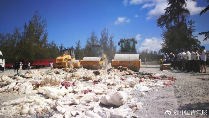 好用的外貿(mào)開發(fā)客戶軟件_“最干凈”的男演員 結(jié)婚40多年零緋聞