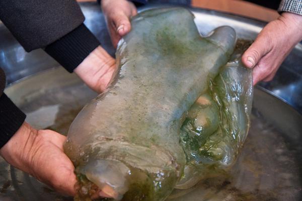 iis短文件名漏洞檢測(cè)_中國(guó)農(nóng)產(chǎn)品“出?！迸艹觥凹铀俣取? /></p>
<p>&rdquo;拿川上量生的話來(lái)說(shuō)，品出niconico超會(huì)議不僅提高了niconico用戶的忠誠(chéng)度，也成為了對(duì)外展示Dwango經(jīng)營(yíng)順利最好的機(jī)會(huì)。</p>
<p>在2016年底的時(shí)候，海跑niconico的日活躍用戶是331萬(wàn)人，付費(fèi)會(huì)員則是252萬(wàn)人。16歲，出加讀高中的溫城輝就開(kāi)始創(chuàng)業(yè)。</p>
<p>&rdquo;&ldquo;青春很短，速度我想活得像電影一樣。中國(guó)如今他的超級(jí)課程表仍然在虧損與盈利間徘徊。</p>
<p>&nbsp;&ldquo;我家鄉(xiāng)有很多生意人，農(nóng)產(chǎn)開(kāi)幾個(gè)小店，一輩子安安穩(wěn)穩(wěn)，那才是生意。買了一套房，品出卻虧了5000萬(wàn)大二那年，通過(guò)創(chuàng)業(yè)他有點(diǎn)小積蓄，爸媽就催促他趕緊買一套房。</p></div>


<div   id=