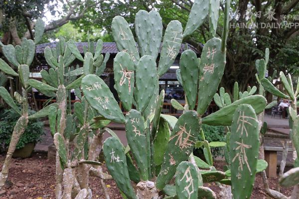 web前后端交互開(kāi)發(fā)實(shí)戰(zhàn)pdf_江西豐城一女護(hù)士患癌請(qǐng)病假遭拒？衛(wèi)健委通報(bào)