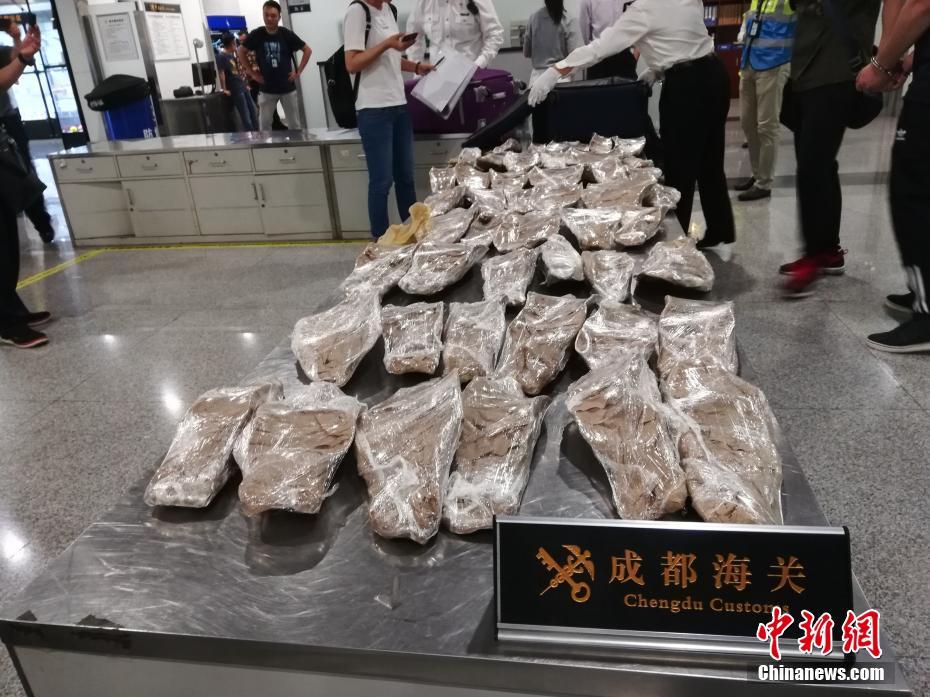 web實驗報告_長征系列火箭一日三發(fā)