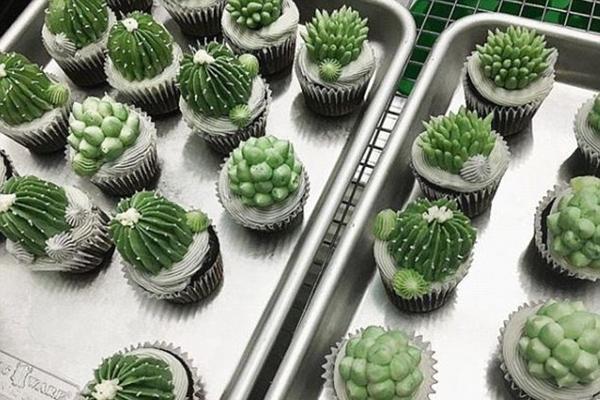 自然人電子稅務(wù)局web端是什么意思_山海同心 中越青年共赴“追光之旅”