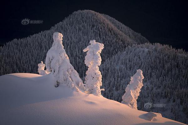 網(wǎng)頁在線客服聊天功能怎么寫_【No.303】圖數(shù)Pro丨山寨奶茶店，縣城中產(chǎn)的財(cái)富粉碎機(jī)