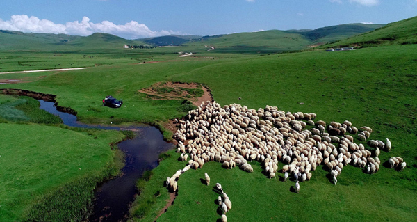 讀城 | 淮安大眾劇場(chǎng)歸來(lái)：75年老戲院的“破墻”新生