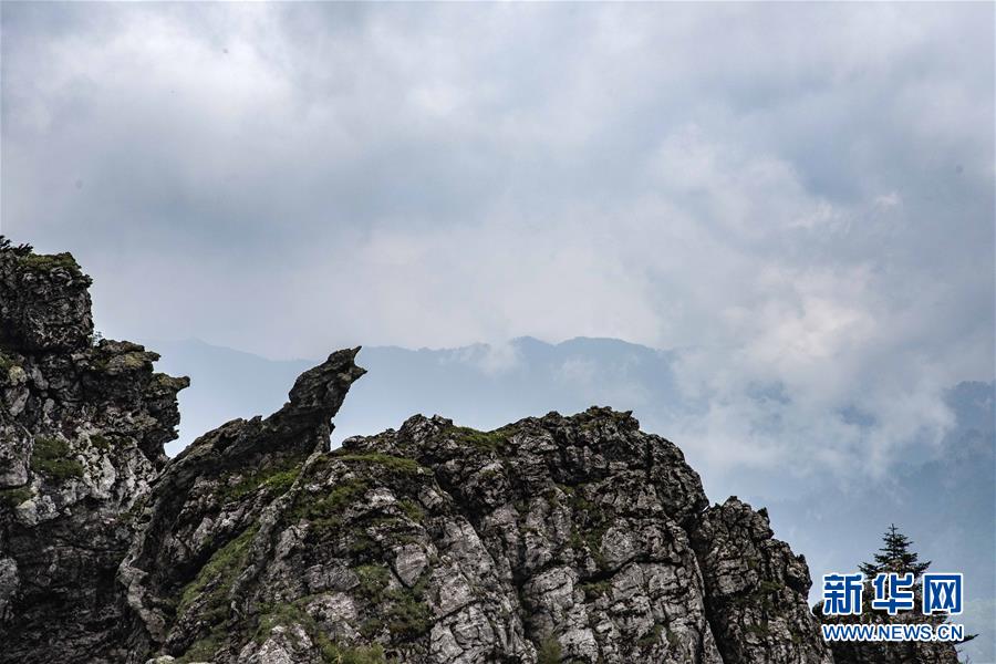 kali模擬dlink路由器釣魚_墨足協(xié)：墨西哥傳奇馬克斯將于世界杯結(jié)束后擔(dān)任國家隊主帥