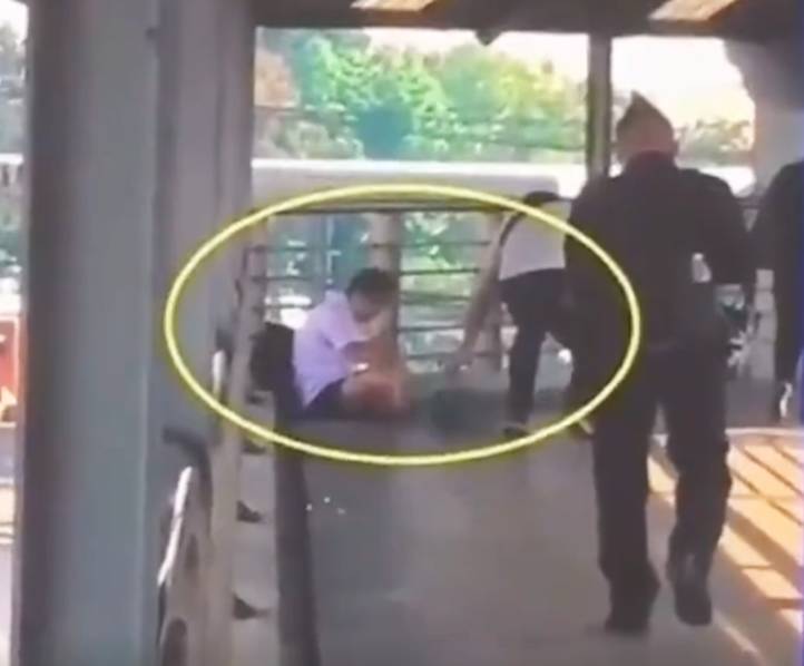 kali網(wǎng)絡(luò)配置文件_扎實推進海南自由貿(mào)易港建設(shè)