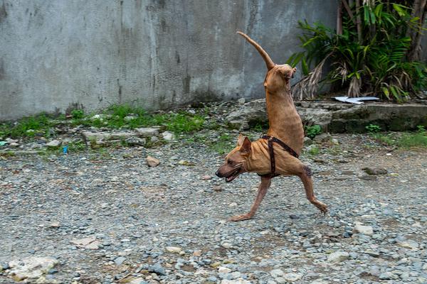 www是指什么_俄國防部：擊落烏克蘭空軍一架蘇-27戰(zhàn)機