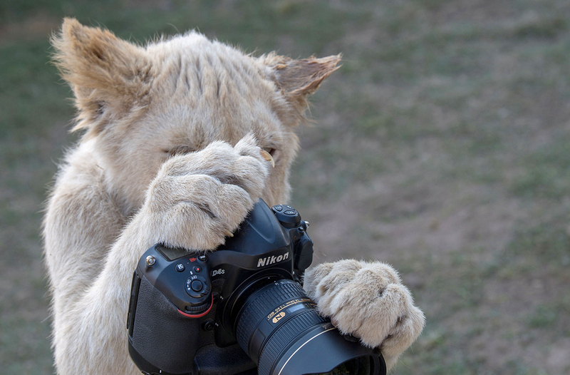 nodejs和javascript的區(qū)別_《中國匠人——錦繡中國》即日上線：解讀千年絲線的東方美學密碼