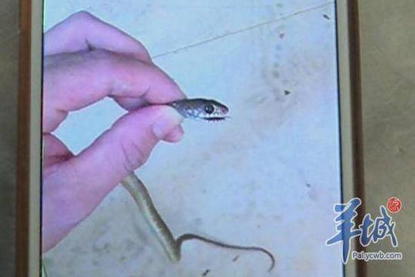 微信聊天紀(jì)錄已被刪除的怎么恢復(fù)_擴(kuò)容提質(zhì) 我國(guó)縣域消費(fèi)活力持續(xù)迸發(fā)