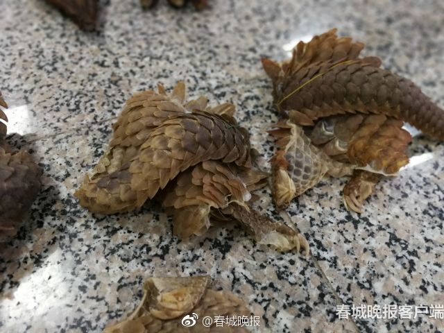 農(nóng)業(yè)農(nóng)村部：“十五五”時期鞏固拓展脫貧攻堅成果將轉(zhuǎn)入常態(tài)化幫扶階段