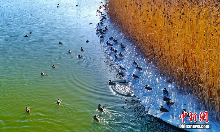 暴力破解的防盜竊措施是什么_市場(chǎng)對(duì)AI投入漸生疲態(tài) 蘋果AI步伐放緩反成優(yōu)勢(shì)