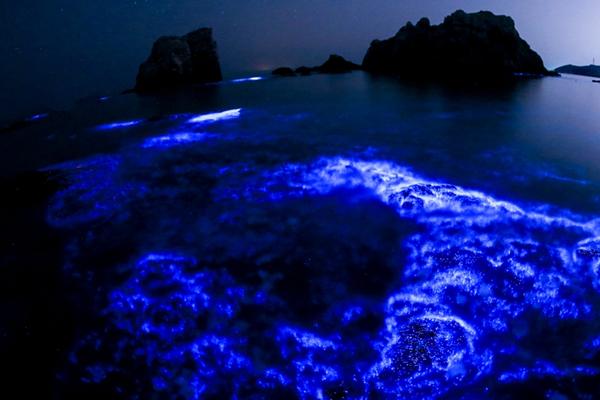 京東漏洞0元買(mǎi)手機(jī)_佩斯科夫：美總統(tǒng)關(guān)于烏克蘭的表態(tài)與俄立場(chǎng)一致