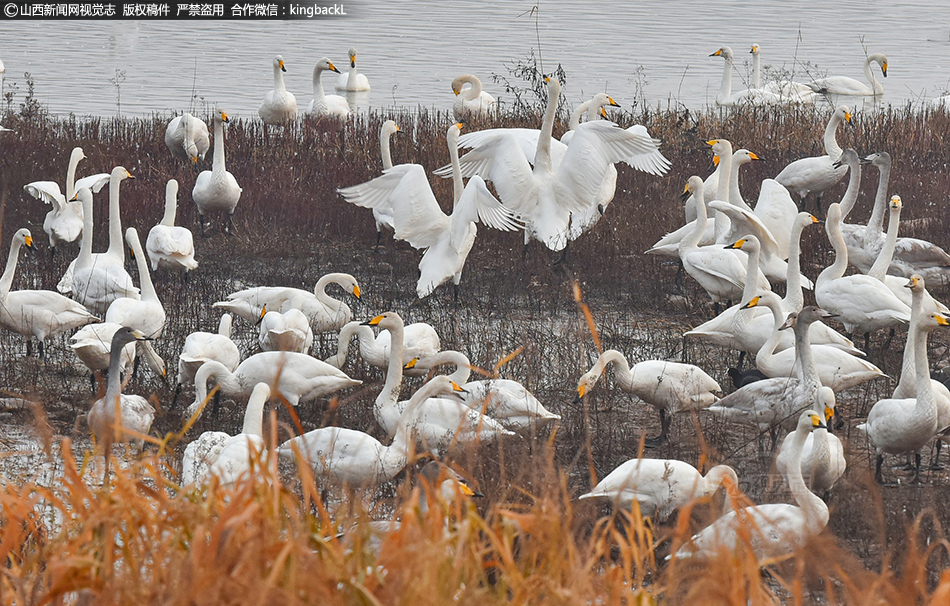 精仿微信投訴頁面源碼_中方呼吁構建均衡、有效、可持續(xù)的歐洲安全架構