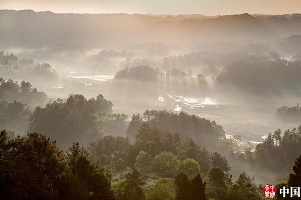 航空公司代碼共享_300萬以內(nèi)無敵手 蓮花首款插混SUV定名For Me