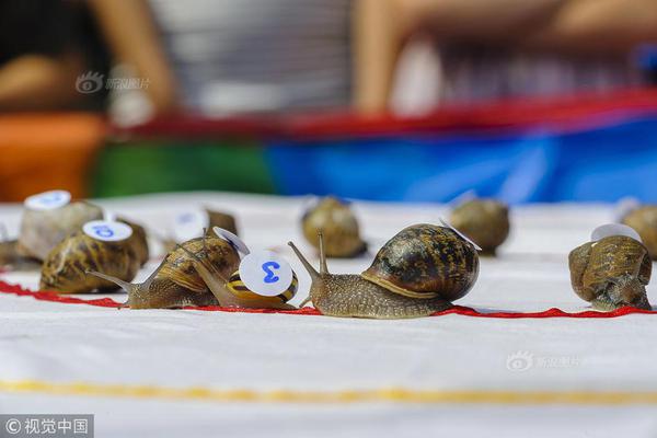 局域網(wǎng)共享軟件zol_王岳倫與女兒互動很溫馨，王詩齡被贊高情商，為