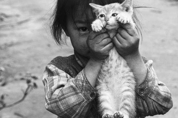 物聯(lián)網(wǎng)安全技術(shù)_中國(guó)女博士生和女兒遭外籍丈夫殺害