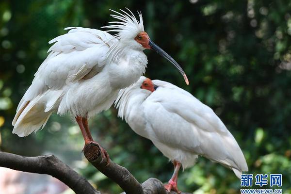 雪假收官！延吉冰雪文旅熱度“狂飆”