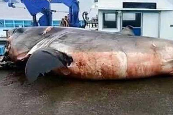 Vlog｜時(shí)光流轉(zhuǎn)中，感受西藏風(fēng)華